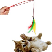 Moontime Alaçatı Kedi Oltası - Tüylü