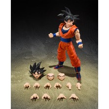 Bandai Bandaı Tamashıı Natıons - Dragon Ball Z - Son Goku (The Kind-Hearted Saiyan) S.h.figuarts Action Figure | Dragonball Z 6 Inch Action Figure S.h. Figuarts Anime Figür