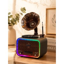 Everton RT-709 Nostaljik Gramofon Bluetooth Radyo USB Tf Kart Şarjlı Retro Hoparlör