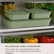 Zenora Buzdolabı Saklama Kabı