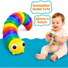 Circle Toys Kıvrılabilen Renkli Tırtıl - Stres Giderici ve Motor Gelişimi Destekleyen Eğitici Oyuncak
