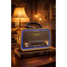 Everton RT-301 Nostalji Radyo | LED Işıklı Retro Tasarım | Fm / Am / Sw Radyo | USB & Mp3 Radyo