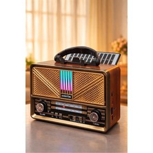 Everton RT-773 Nostaljik LED Işıklı Bluetooth Radyo | Fm/am/sw Taşınabilir Hoparlör