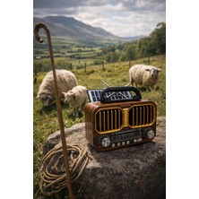 Everton RT-679 USB Am-Sw-Fm Bluetooth Solarlı Nostalji Radyo