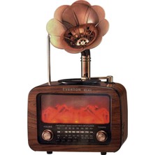 Hobilinka Şömineli Gramofonlu Radyo RT-651