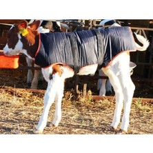 Moontime Alaçatı Buzağı Battaniyesi 80 cm