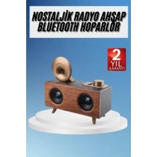 Zero Land Ece-Umay Gramafon Radyo Bluetooth Hoparlör Nostaljik Radyo Fm Radyo