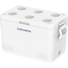 Icepeak Coolcraft 46 Buzluk 41.6 Litre-Beyaz