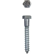 Melonika Trifon Vida 8X80 mm (5 Adet)