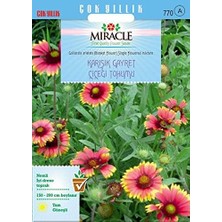 Asitan Karışık Gayret Çiçeği (Giallardia Mix) (190 Tohum)