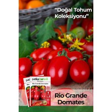 Asitan 200 Adet Rio Grande (Bursa, Salçalık) Domates Tohumu