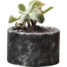 Moontime Alaçatı Nero Mermer Saksı Mini Kaktüs Sukulent Saksısı Siyah