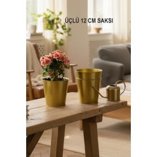 Moontime Alaçatı 3'lü Dekoratif Gold Saksı - 12 cm
