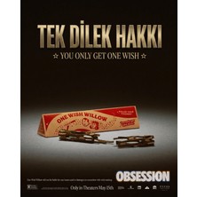 Printella Obsession One Wish Willow Dilek Çubuğu | Bir Dilek Hakkı Niyet ve Manifestasyon Çubuğu | Kutulu Anlamlı