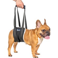 Köpek Yürüyüş Desteği – Sling Taşıma Aparatı, Felçli ve Yaşlı Köpekler Için Yürüm