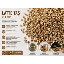 CAS Dekoratif Doğal Taş 2-4 mm | Epoksi, Teraryum, Akvaryum, Saksı ve Resin Art -100 gr - Latte