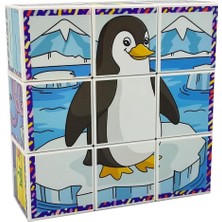 Asitan Küpss Deniz Hayvanları 3D Manyetik Puzzle (9 Mıknatıslı Küp 6 Yapboz)