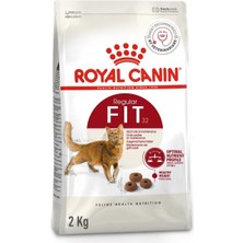 Asitan Fit 32 Yetişkin Kedi Maması 2 kg | Enerji Dengesi, Saç Yumağı Düzenlemesi, Idrar Sağlığı