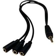 Stereo Çoklayıcı 3 Çıkışlı
