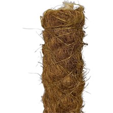 Yosun Bitki Destek Çubuğu (80 Cm)