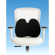 Asitan Ergonomik Bel ve Omurga Destekli Minder, Siyah, Ofis-Araba-Ev Için