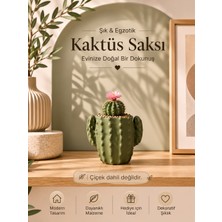 Sylva Concept Dekoratif Kaktüs Saksısı |masaüstü Saksı