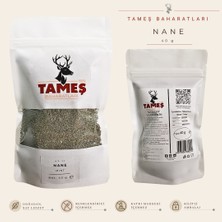 Tameş Baharatları -Nane Kuru 40 G