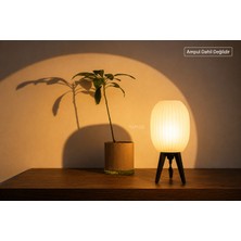 Yapı3D Dekoratif Masa Lambası Abajur | Modern Gece Lambası | Salon, Yatak Odası ve Çalışma Masası Için Şık
