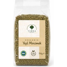 Yumna Organik Organik Sertifikalı Yeşil Mercimek 750GR.