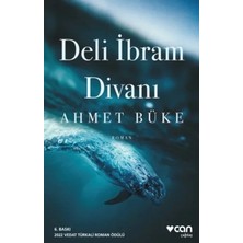 Vavis Deli Ibram Divanı