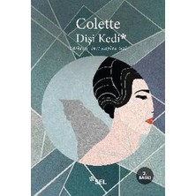 Vavis Dişi Kedi