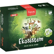 Esranın Dünyası Ekosistem Besin Zinciri Kutu Oyunu Midi