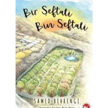 Vavis Bir Şeftali Bin Şeftali (Ciltli)