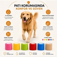 Mucit Home Kedi ve Köpek Pati Bandajı - Su Geçirmez - Kendinden Yapışkanlı