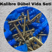 Kalibreli Dübel ve Vida Seti 100 Adet – Pul Başlı. 8mm Dübel