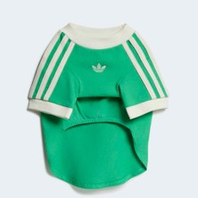 Adidas KY8730 Pet Calı Tee