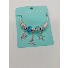 Cadde Dükkanı Çelik Charmlı Bileklik Silver