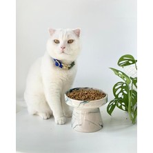 Aydogan's Seramik Kedi ve Köpek Mama Su Kabı Yeşil Ebru