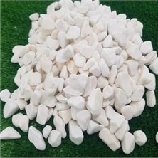 Aydogan's Beyaz Dolomit Taş 25 Kg, 1,5-2 cm Dere Çakıl Taşı, Bahçe ve Teraryum Için