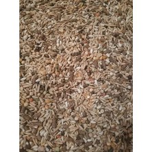 Aydogan's Kemirgen Yemi, Goldmind Mix, 1 Kg, 16 Çeşit Tahıl Karışımı