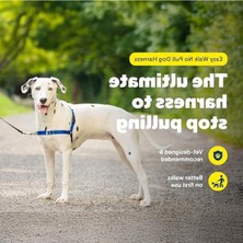 Aydogan's No-Pull Köpek Koşum Takımı, Yürüyüşlerde Kontrolü Sağlayan