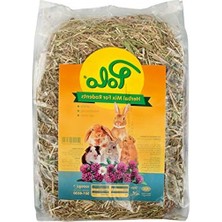 Aydogan's Kemirgenler Için Besleyici Herbal Mix Otu, 1 kg Paket