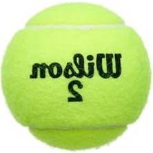 Aydogan's Tennis Balls - Champ Extra Duty