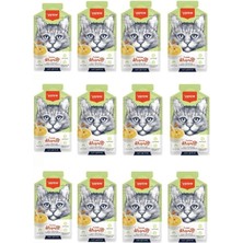 Aydogan's Tavuklu Bal Kabaklı ve Havuçlu Tahılsız Kedi Çorbası 50GR x 12 Adet