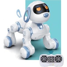 Aydogan's 30 Fonksiyonlu Uzaktan Kumandalı Sesli Işıklı Robot Kedi ve Köpek, Eğlenceli Oyun