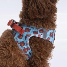 Aydogan's 2xs Boyutunda Air-Mesh Köpek Göğüs Tasması