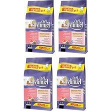 Aydogan's Somonlu Kedi Maması, 1300 gr - 4'lü Paket