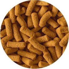 Aydogan's Yetişkin Cichlid Balıkları Için Sticks - 250 gr