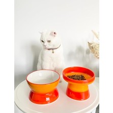 Aydogan's Turuncu Seramik Kedi ve Köpek Mama Su Kabı, Luna Model, 2'li