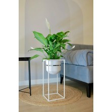 Moontime Alaçatı Metal Saksı Ayaklı Çiçeklik Dekoratif Beyaz Gümüş Detaylı Saksı Vazo Saksılık 50X21CM